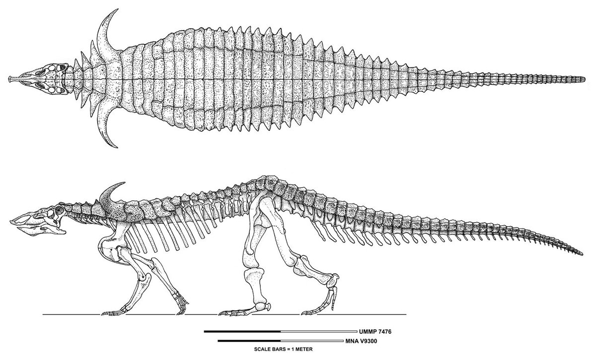 Изображение с сайта Яндекс Картинки