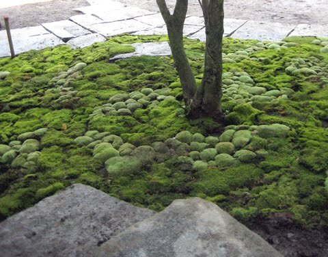 (все картинки взяты из интернета)