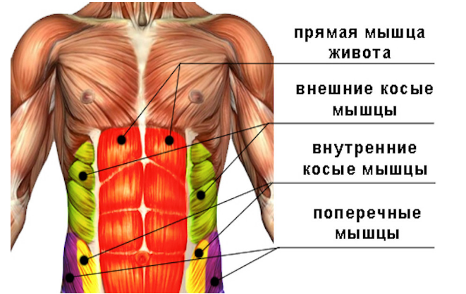 Топ упражнений для мышц живота