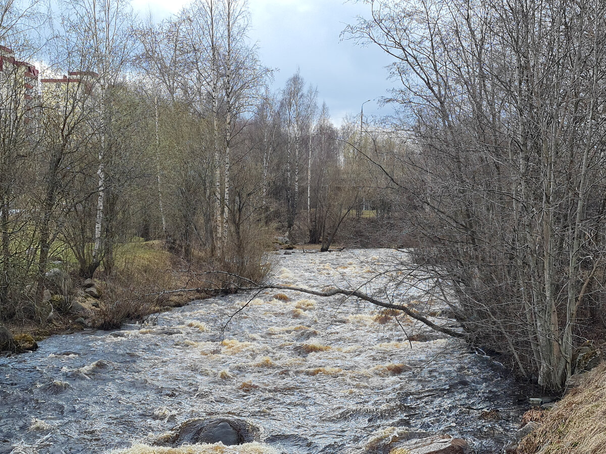 Р. Лососинка в Петрозаводске, вдоль нее пролегает длинная пешеходная тропа
