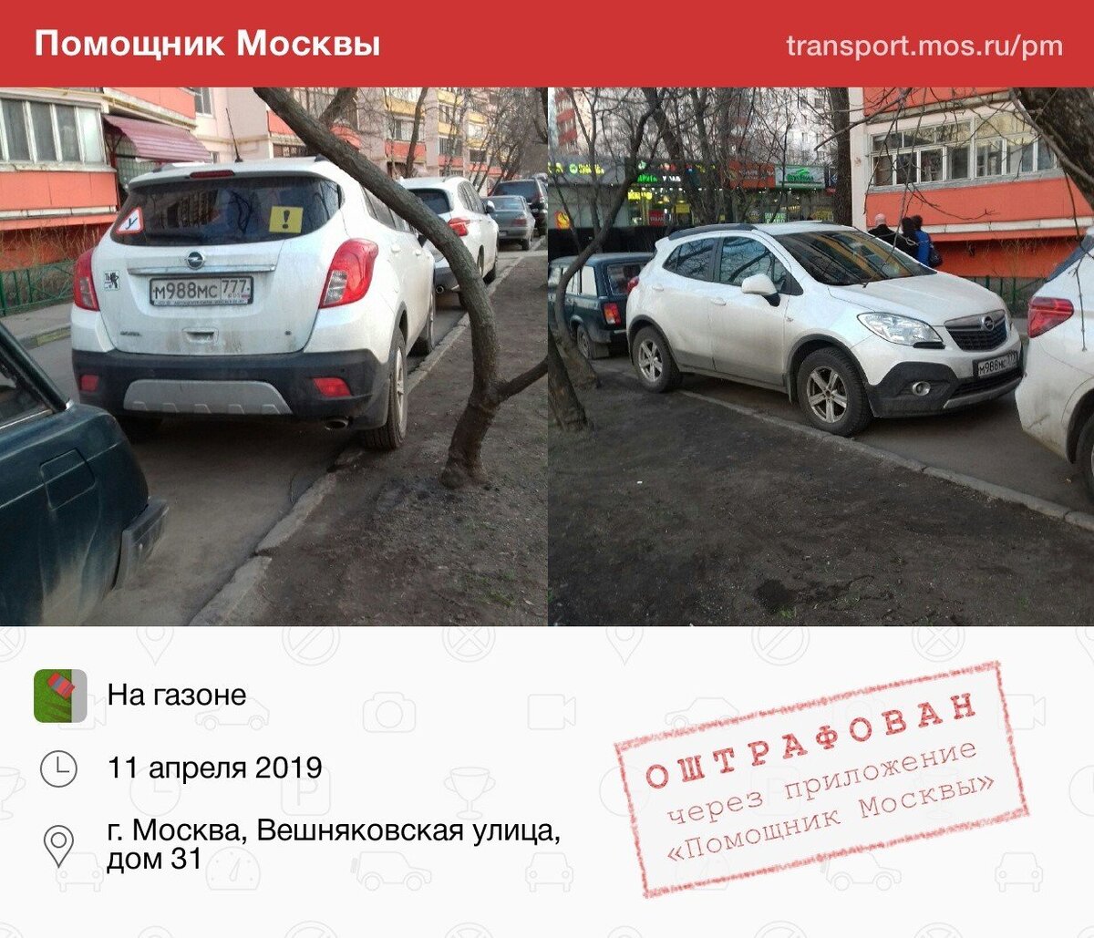 Помощник москвы