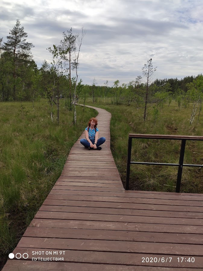 Сестрорецкое  болото. Фото автора
