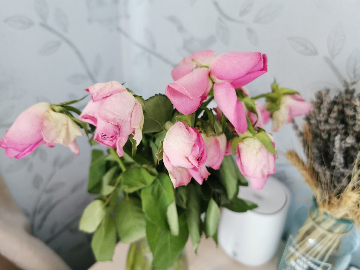 Вот, например, эти розы. Очень грустно повесили головки уже на следующий день.