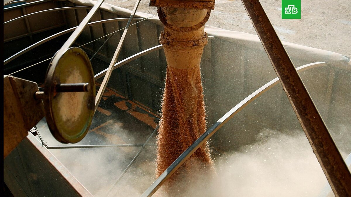    Фото: РИА Новости © 2022, Кирилл Брага