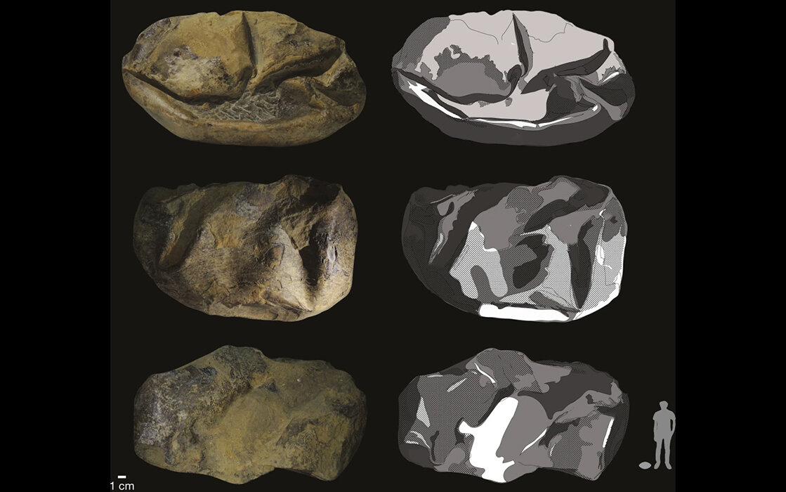 Печеная картошка?