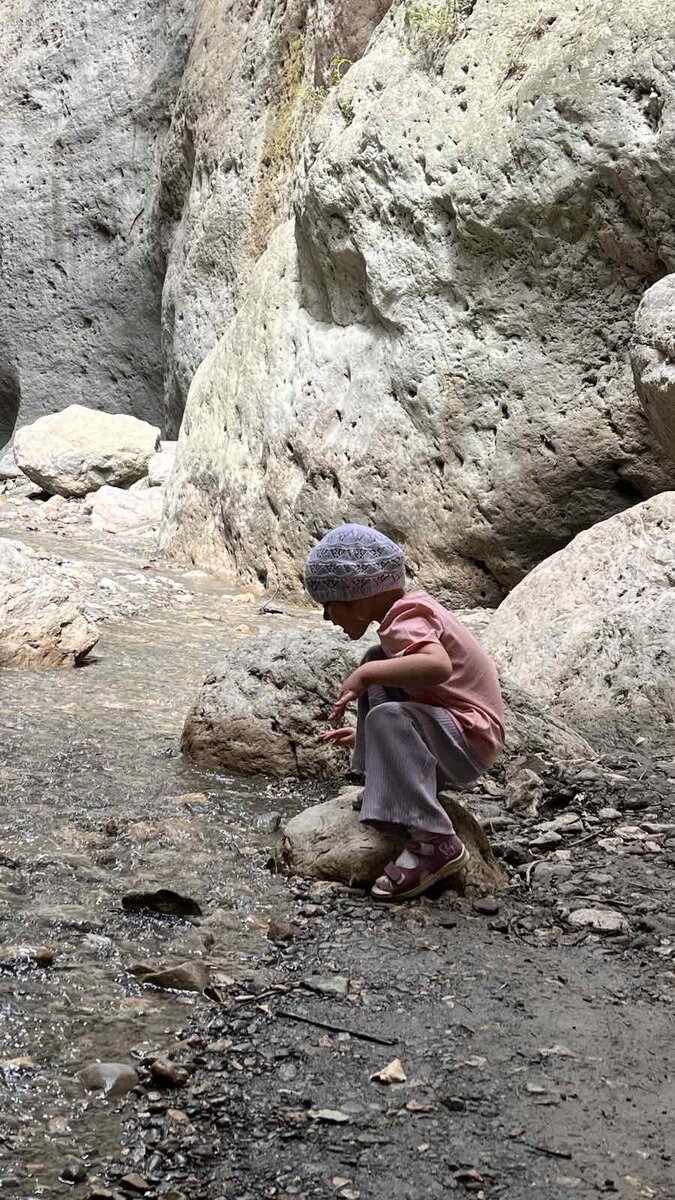 Алиса 3,5 годика