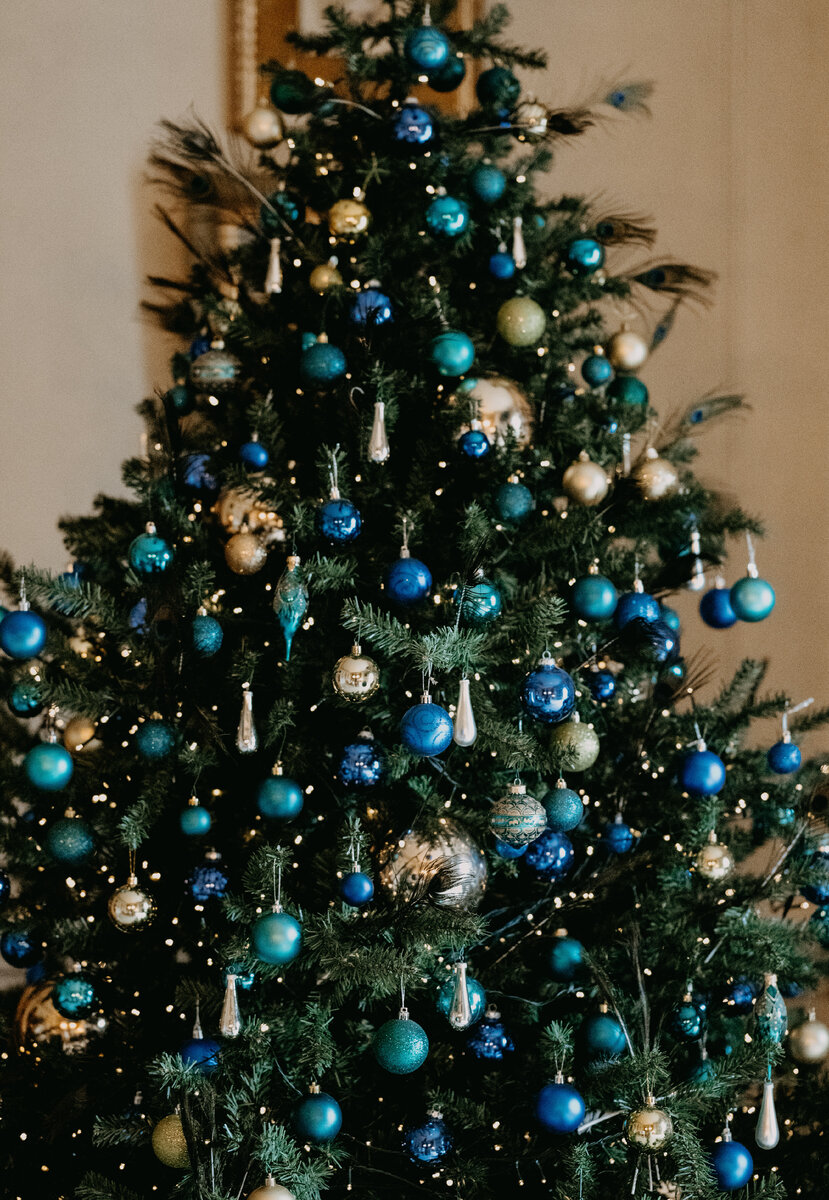 Photo by Annie Spratt on Unsplash