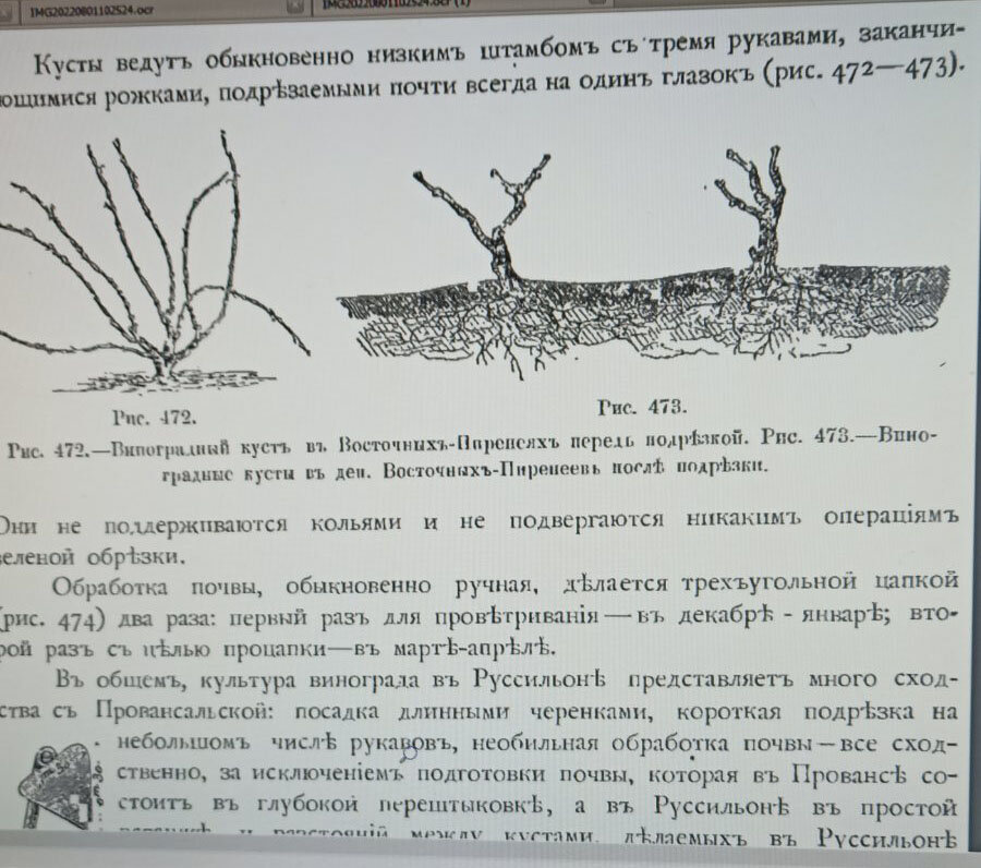 Фоэкс Г. - Полный курс виноградарства, 1906