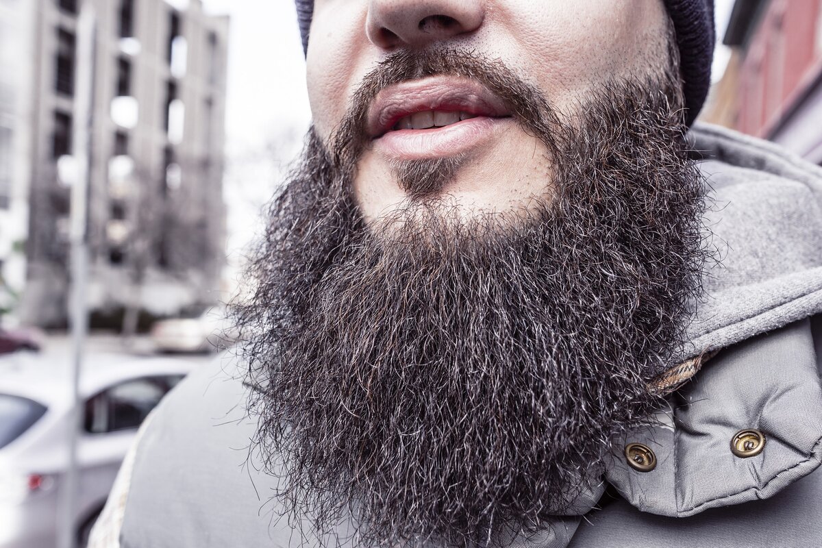 Что такое сизая борода
