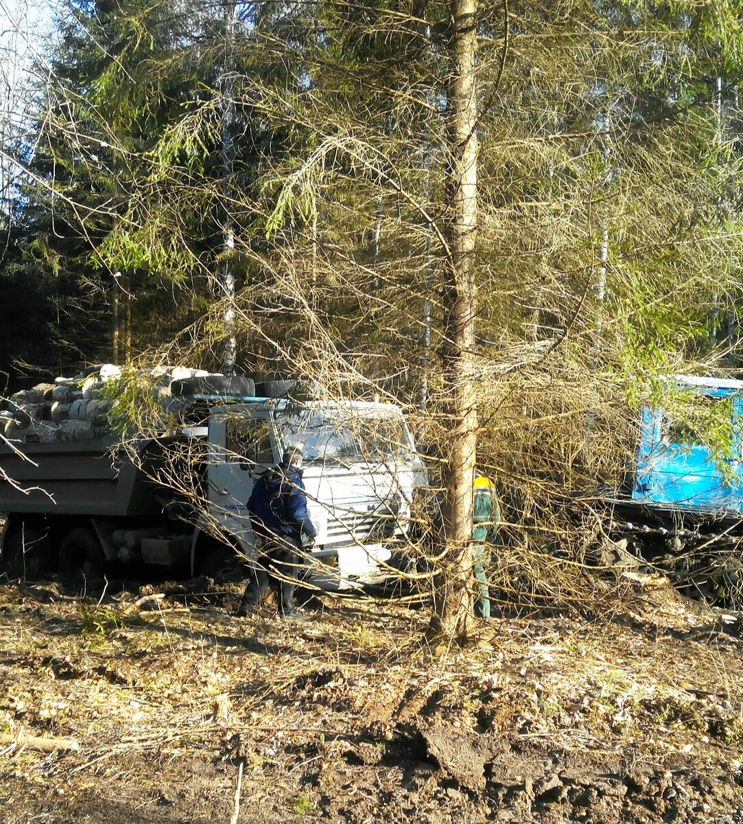 Национальная забава - заготовка дров в Новгородской области. (Газ-то мы всё больше в Европу гоним) От "жадности" присели малость. Все фото в публикации и подписи к ним - Дмитрия Кудрявцева