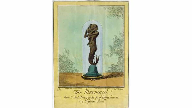 Изображение русалки Фиджи 1822 года, сделанное известным П.Т. Барнумом. (Изображение: Bridgeman Images)