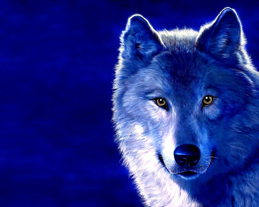 синий волк