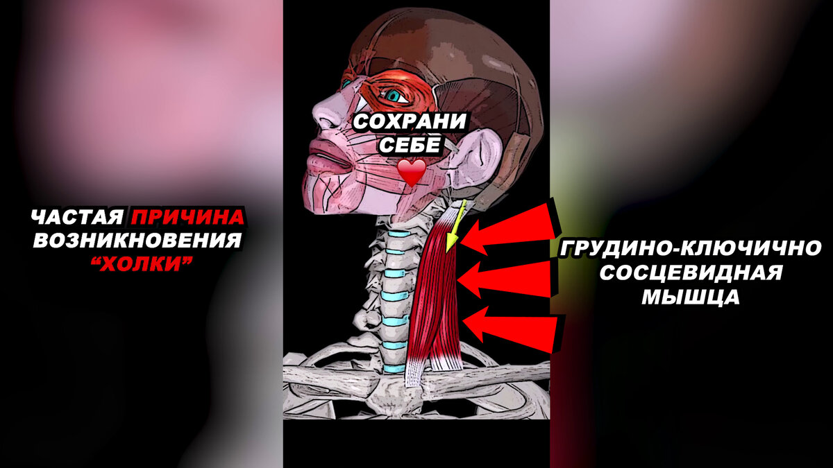 Автор - Пенкин Егор/Fit.Therapy.Official