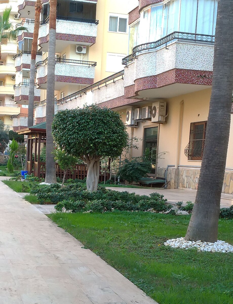 Придомовая территория