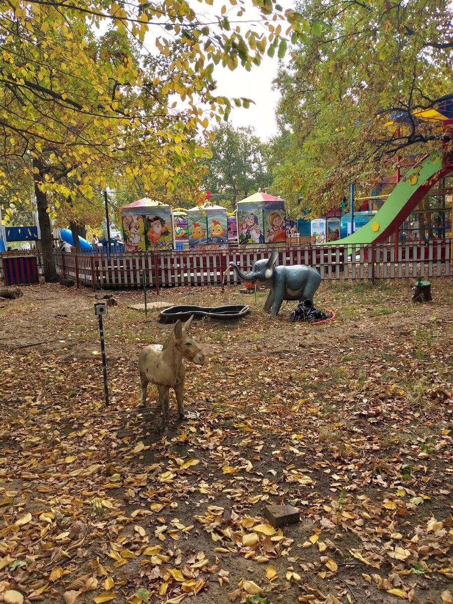 Наш любимый парк 