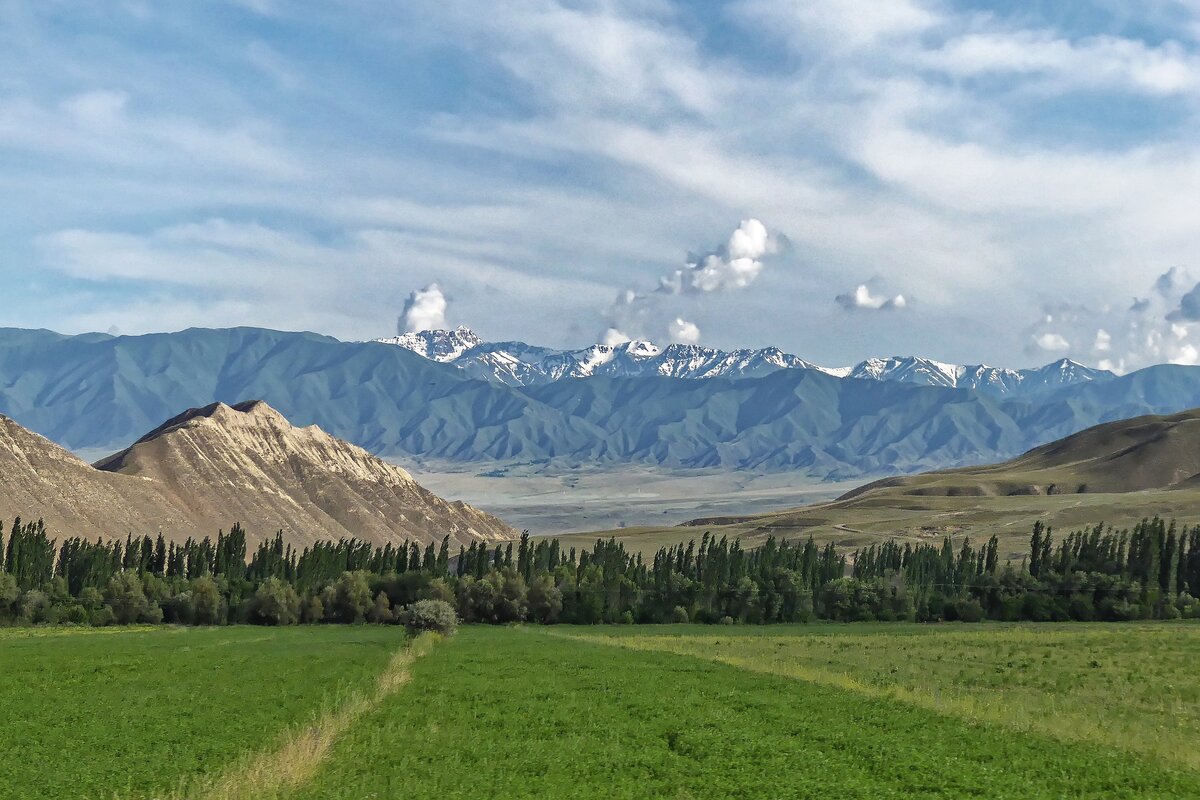 Киргизия. Ферганская Долина Киргизия. Ферганская Долина Узбекистан. Ферганская Долина природа Узбекистан. Горы Ферганской Долины.