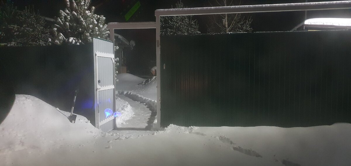 31 января. Ворота не открыть. Лопата в помощь