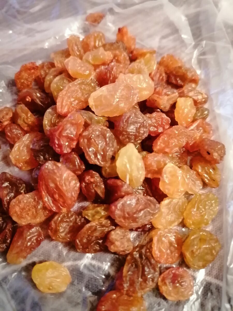 ЧАГА и САМОГОН. Могут ли они быть "вместе"? | Старый Шинкарь | Дзен