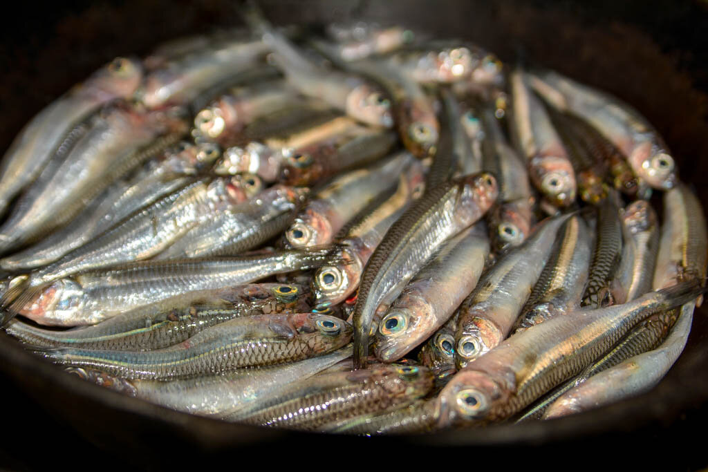 Какую рыбу лучше давать ребенку в 1. Какую рыбу можно давать ребенку. Количество соли для засола рыбы. Красная рыба при похудении. С какого возраста можно соленую рыбу.