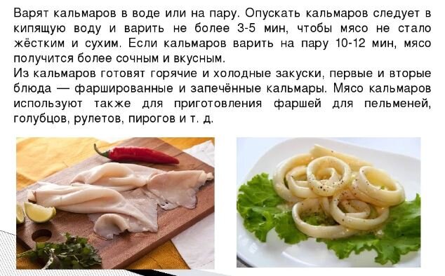 Кальмар: как правильно приготовить и порадовать себя вкусным блюдом