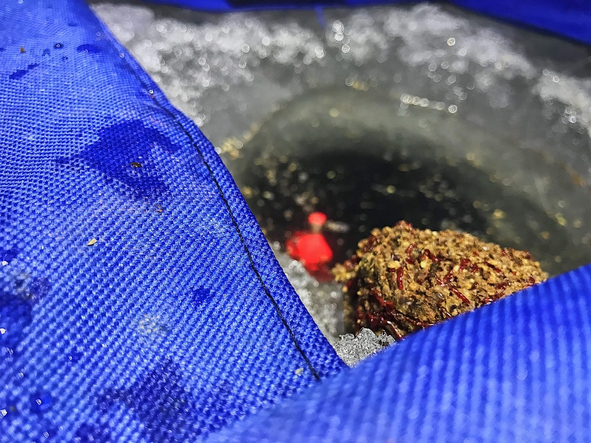 Процесс докорма.