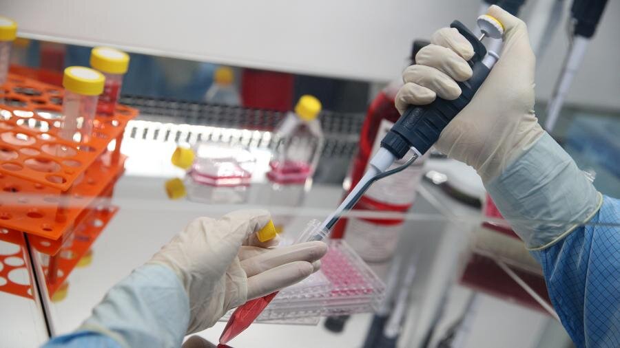 Фото: ИЗВЕСТИЯ/Кристина Кормилицына