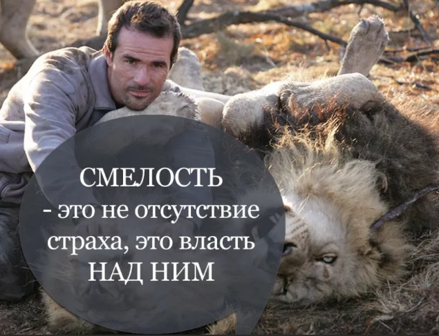 Точная тонкая фраза, про смелость!
