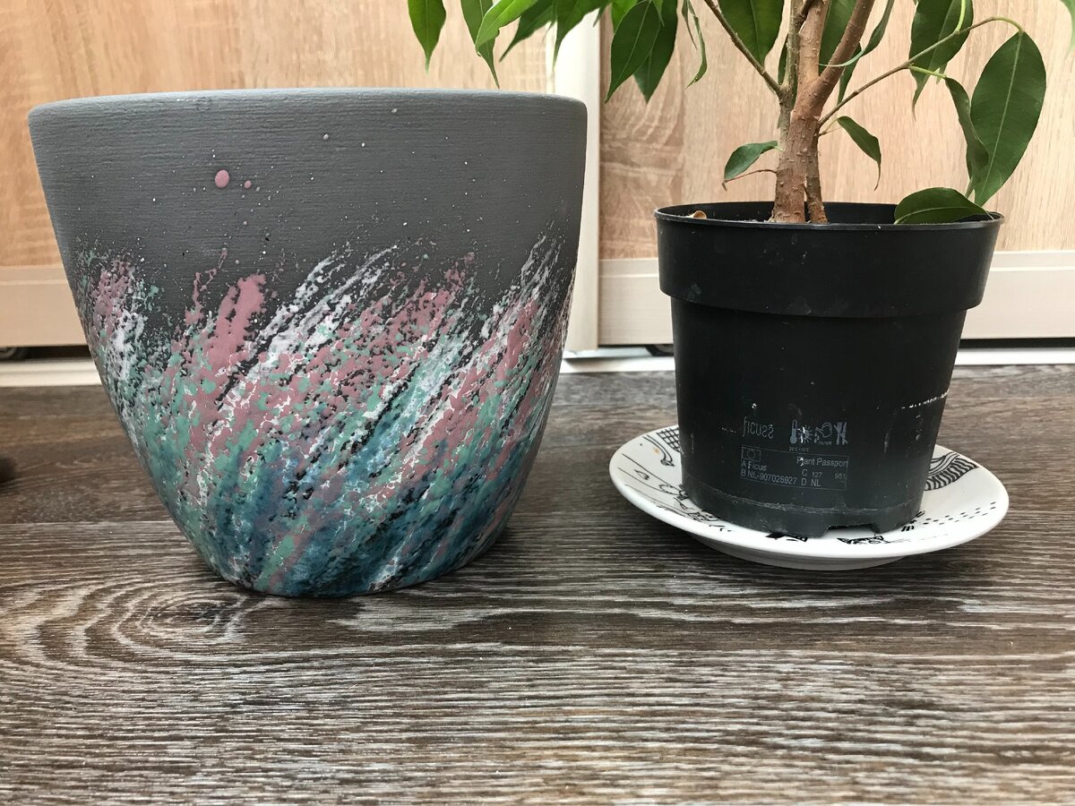 Хотела пересадить в керамику, выбрала горшок с запасом побольше