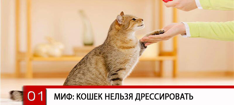 Фото коллажи студии креативного дизайна www.nosecret.me