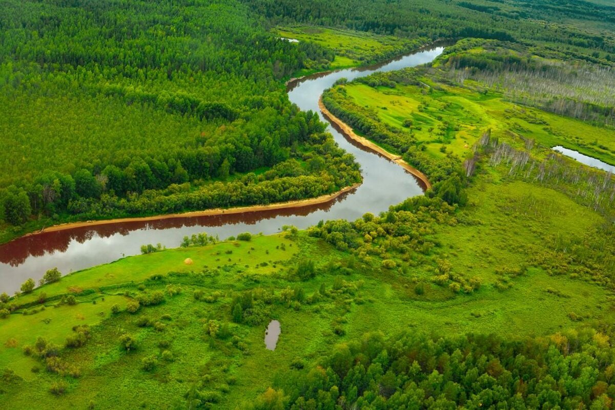 Западная сибирь фото природы