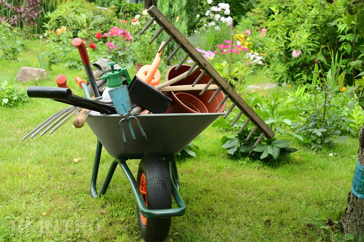 Садовый инвентарь: фото оптимального инструмента достойного качсевта