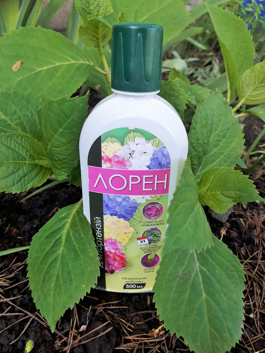 Жидкая подкормка для гортензий