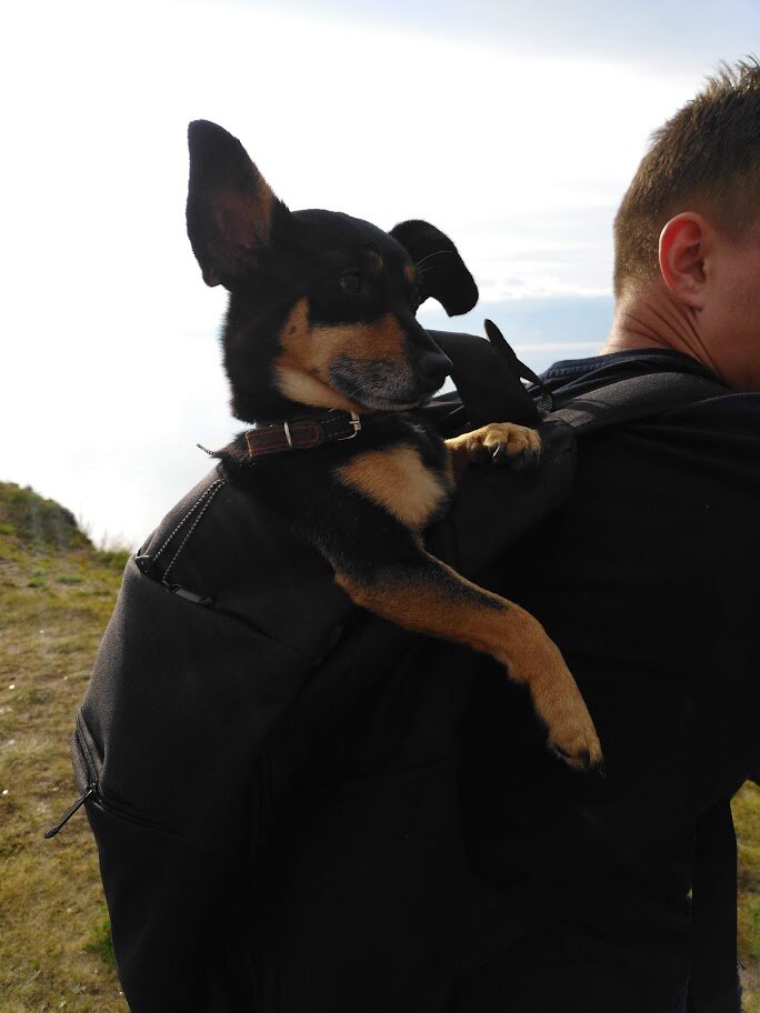 Везде путешествует с нами))