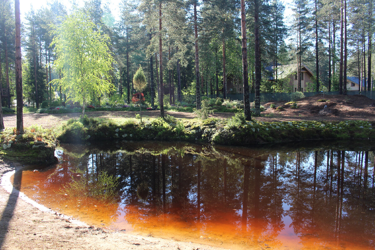 Мой пруд 27 мая