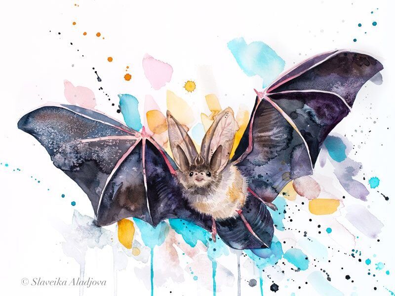 Яндекс картинки