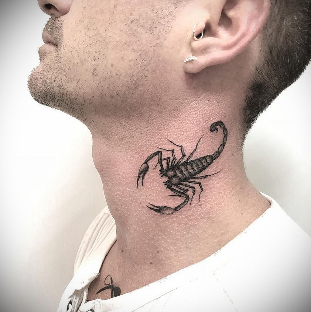 Что означают тату со скорпионами и какими они бывают?