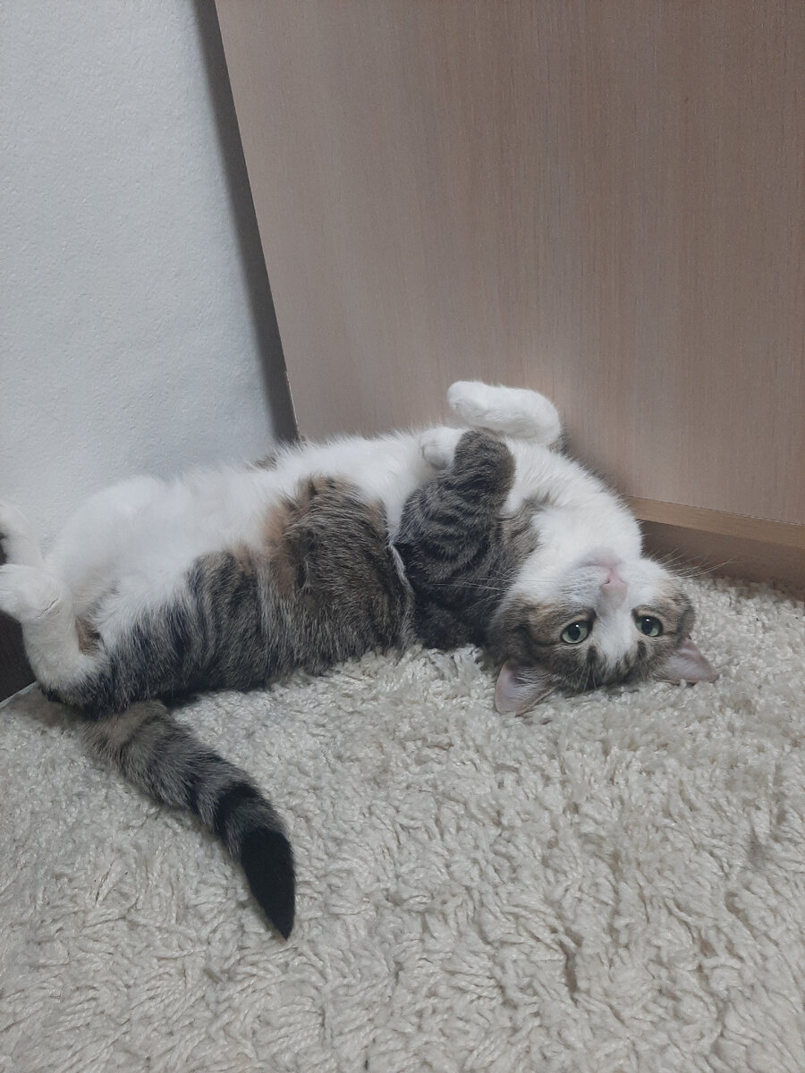 Мила любит смотреть на мир вверх ногами