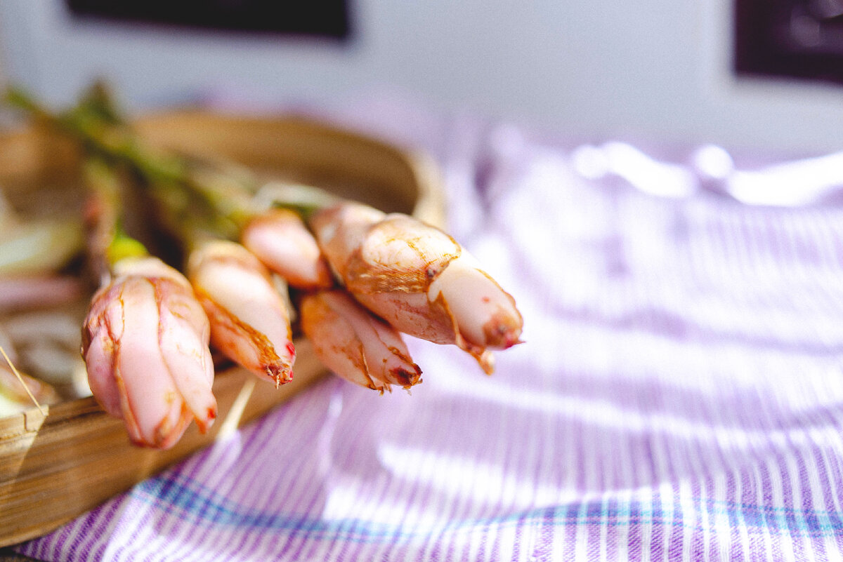 соцветия и стебли факельного имбиря активно используются в кухне юго-восточной Азии