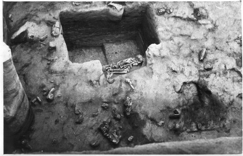 Погребение Маркина гора (Стоянка «Костенки-14), Воронежская область , Воронежский областной краеведческий музей