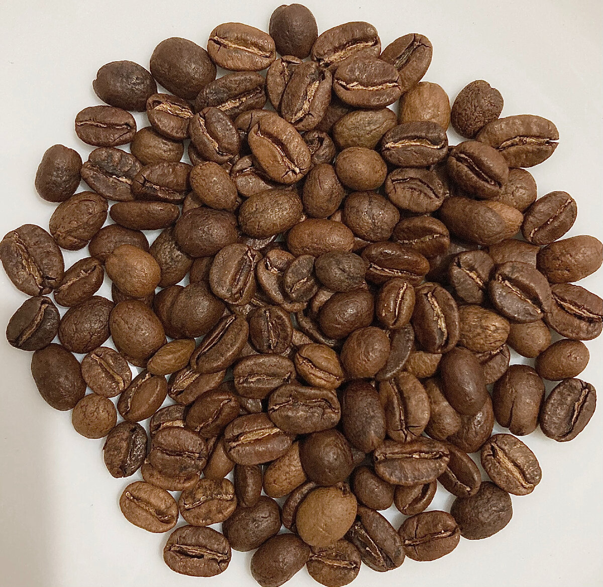 Так выглядит желтый бурбон натуральной обработки, с этапом бескислородной ферментации с фермы Монтеверде, в регионе Толима, на высоте около 2000 метров над уровнем моря, принадлежащей Ньюерли Гутьерресу. Вообще, бурбон - естественная мутация типики, отличающаяся более высокой урожайностью. А желтый бурбон, в свою очередь - естественная мутация бурбона, появившаяся в Бразилии, выделяющаяся тонкой кожурой желтого цвета. Тонкая кожура позволяет ультрафиолету интенсивнее проникать в мякоть, и, как следствие, зерно получает больше сахаров, что означает высокое содержание глюкозы и делает напиток характерно сладким. Тем не менее, желтый бурбон не обладает высоким вкусовым потенциалом, да и собирать его спелым сложно - ведь как правило, спелость ягоды легче определить по отчетливому красному цвету. Поэтому среди собранного желтого бурбона бывает много квакеров (недоспелых/переспелых/дефектных). Но к лоту от господина Гутьерреса все это не относится, ведь он со всей тщательностью подошел как к сбору ягод, так и к их обработке.