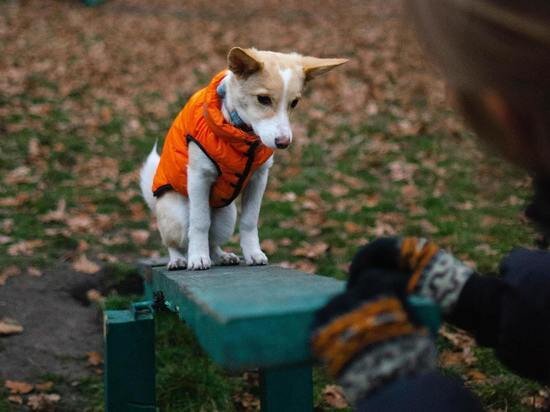     ФОТО UNSPLASH.COM