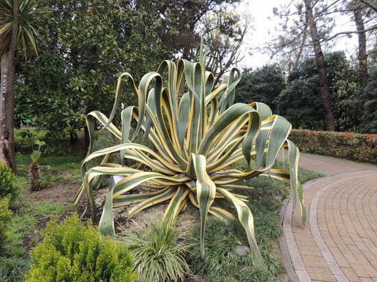     фото: Денис Евстафьев / МК-Урал