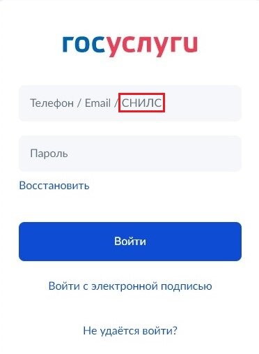   Скриншот из приложения портала «Госуслуги»«РБК Инвестиции»