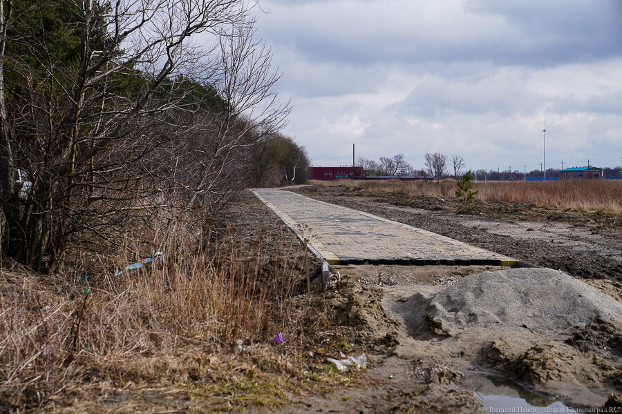 Фото: Виталий Невар / Новый Калининград