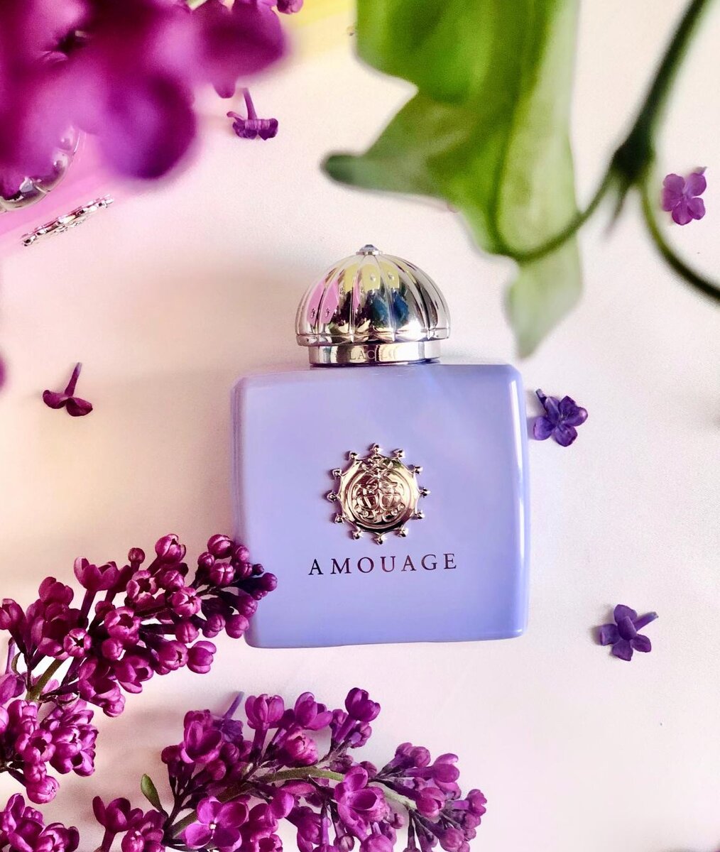 Источник фото: Яндекс Картинки 