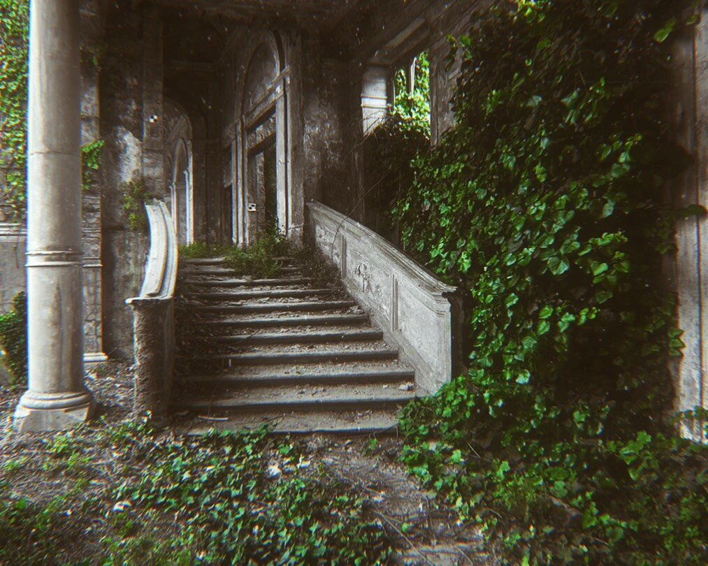 Яндекс Картинки