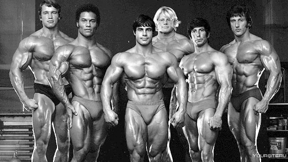 Источник фотографии: Яндекс картинки 