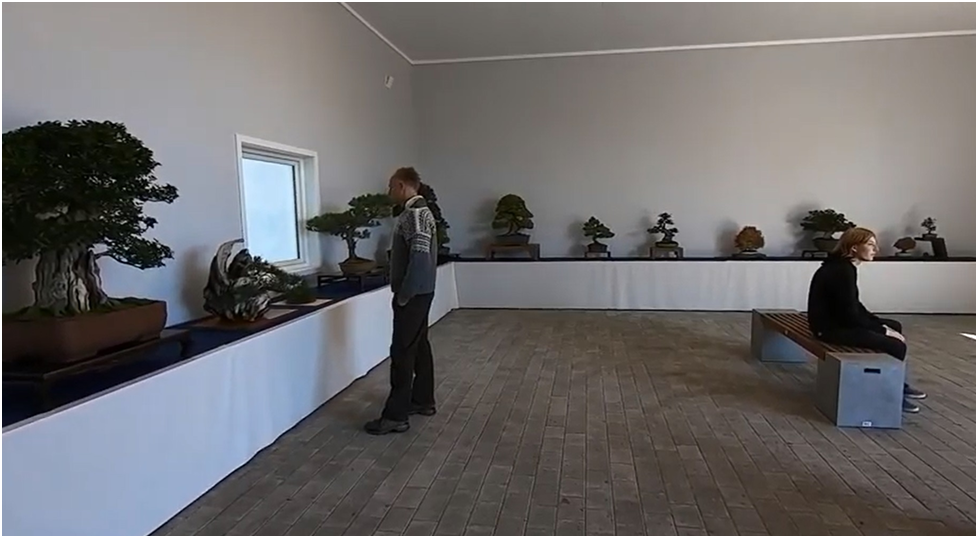 Фрагмент выставки бонсай в Taki Bonsai. 2018 г. 
Источник: https://youtu.be/_khD4PJxpa
