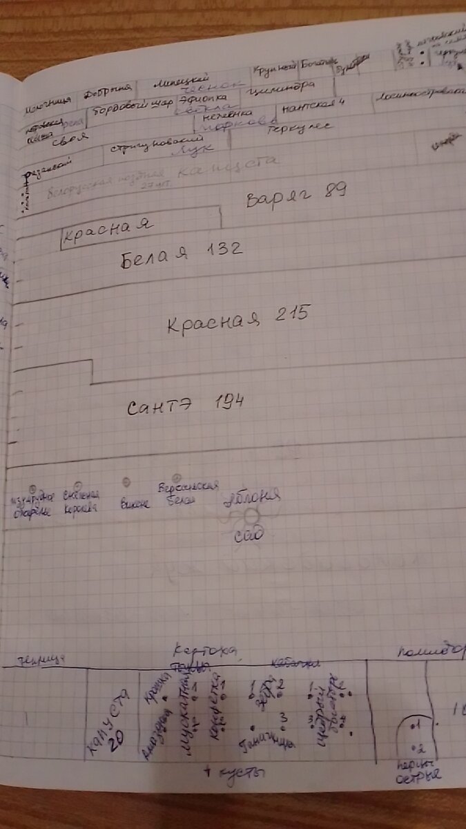 План не идеален, но вроде понятный))) Нижний рисунок должен быть сразу за картошкой, но перед кустами