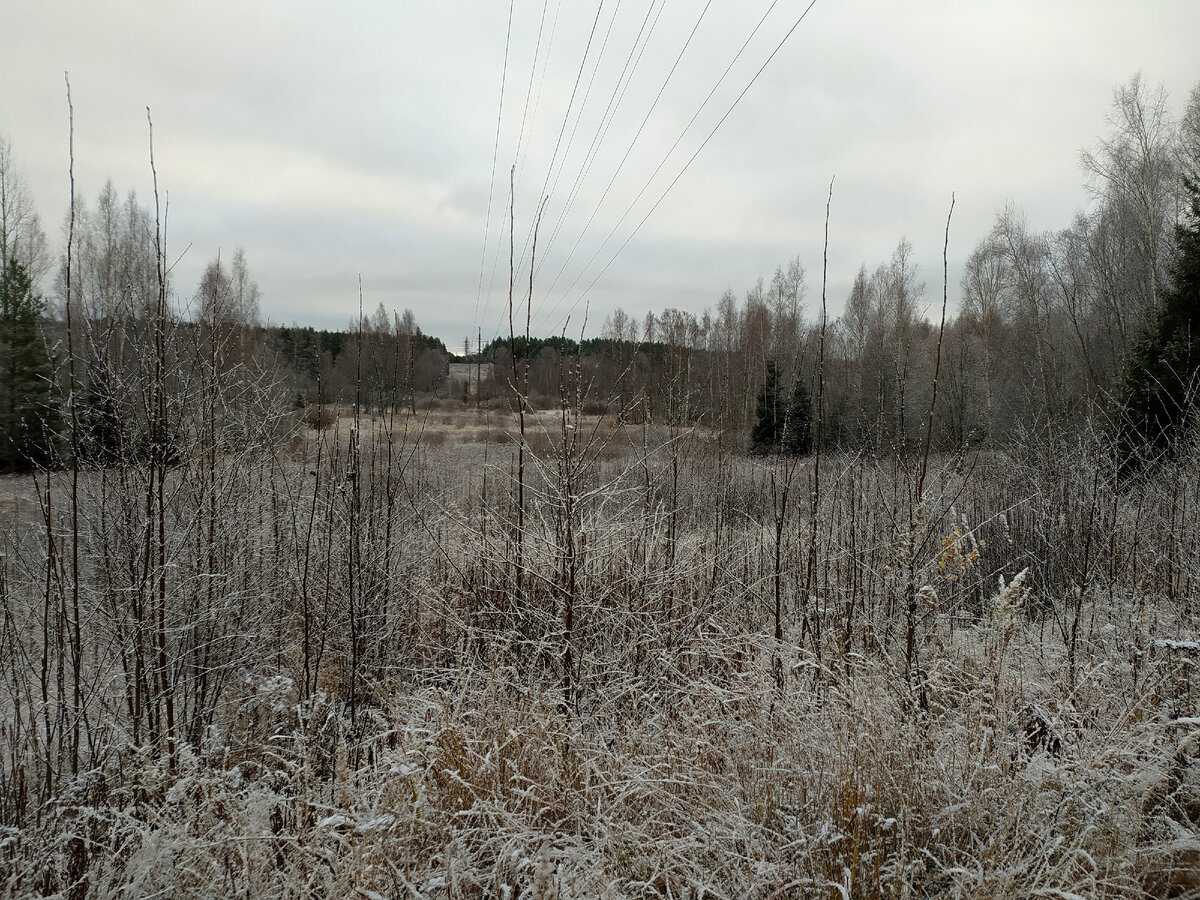 ФОТО: MAKSIM KONSTANTINOV/GLOBAL LOOK PRESS 